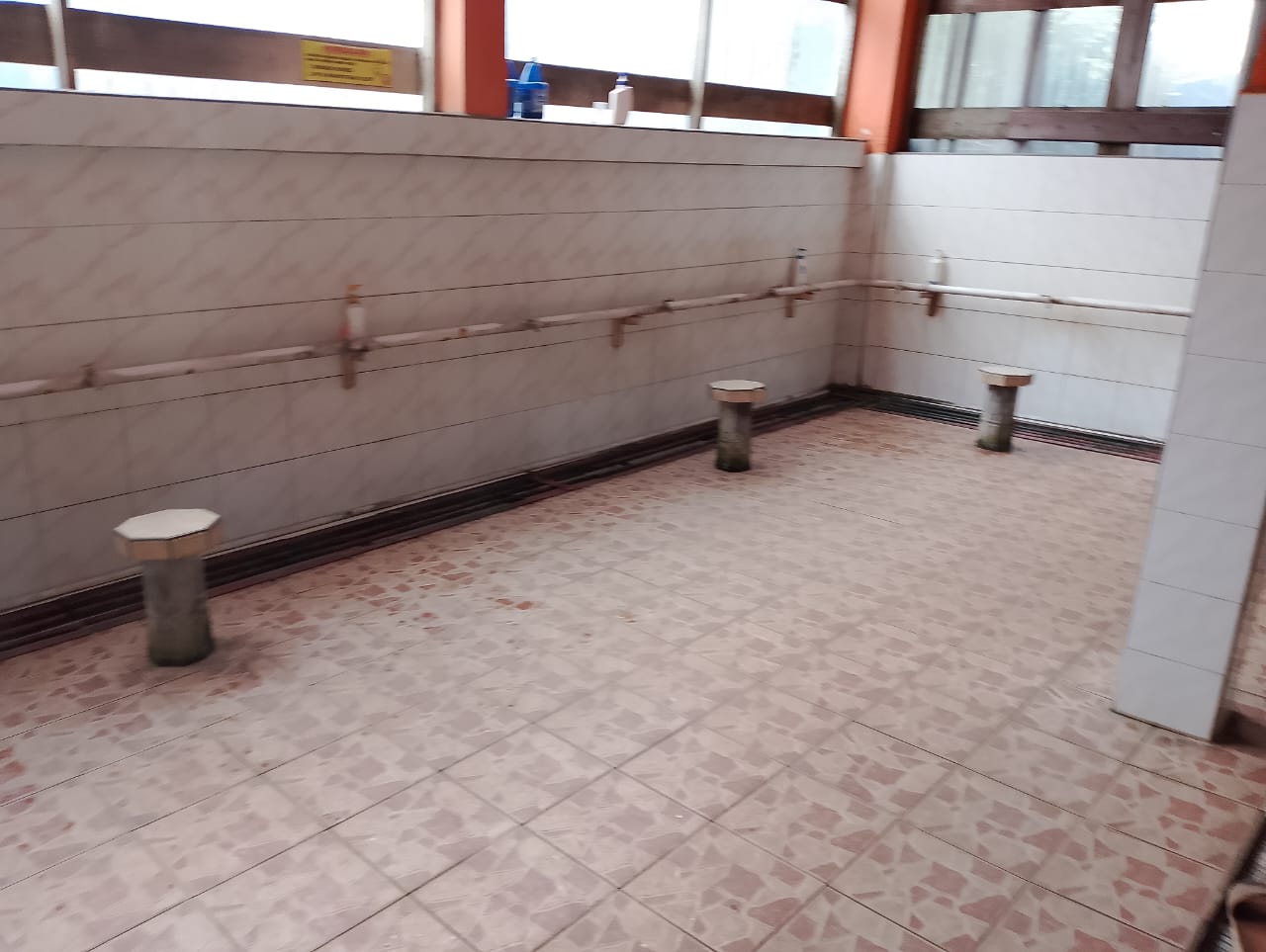 WhatsApp Image 2024-02-08 at 06.29.38