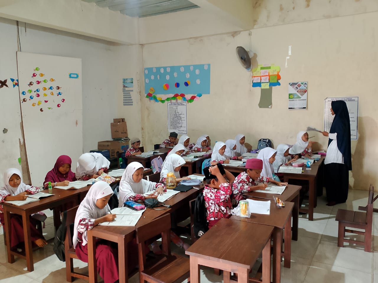 WhatsApp Image 2024-02-08 at 06.29.47